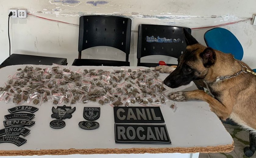 Polícia Militar apreende drogas e armas durante abordagens em Arapiraca