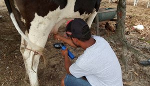 Projeto Mais Leite Saudável atende pequenos produtores de Mar Vermelho e Cajueiro