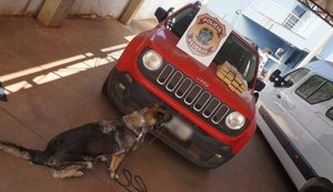 PF encontra mais 10 quilos de maconha em carro de filho de juíza