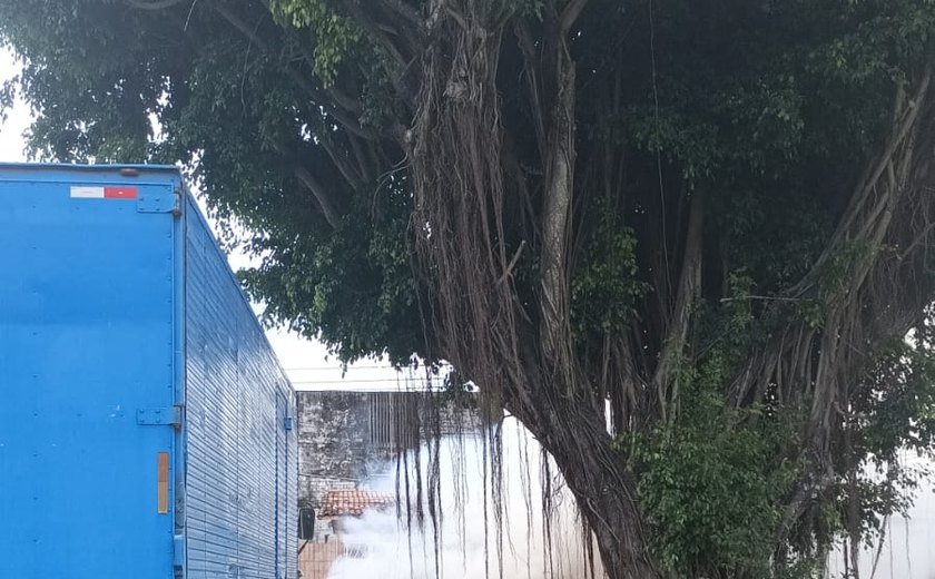 Vídeo: veículo pega fogo e fica totalmente destruído na parte alta de Maceió
