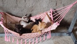 Projeto Acolher participa de feira de adoção neste sábado (19)