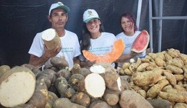 Limoeiro de Anadia recebe Feira Agrária do Crédito Fundiário