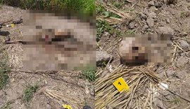 Ossada humana é achada por administrador de fazenda na zona rural de Junqueiro