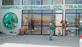 Prefeitura de Maceió notifica hospital veterinário por maus-tratos contra animais