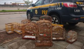 PRF em Alagoas detém duas pessoas no final de semana por crimes distintos