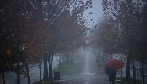 SP registra 8ºC nesta quinta; tempo continua gelado no final de semana