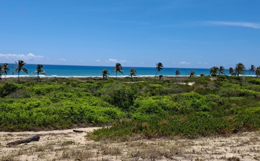Ambientalistas propõem criação de Refúgio da Vida Silvestre no sul de Alagoas