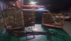 BPA apreende armas e resgata animais silvestres no Agreste e Zona da Mata