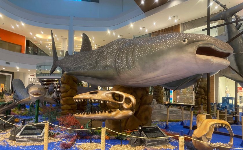 Exposição inédita de espécies de tubarões será inaugurada no Parque Shopping Maceió