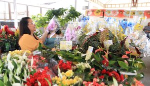 Feira reúne mais de 200 espécies de flores em Maceió
