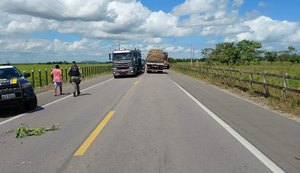 Motociclista morre após colidir com carreta na BR-316 em Atalaia