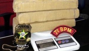 3 quilos de maconha são encontrados enterrados na Prainha