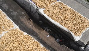 Vigilância apreende cerca de 15 kg de amendoim cozido impróprio para consumo