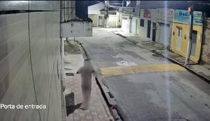 Polícia Civil prende homem por furto qualificado em São Miguel dos Campos