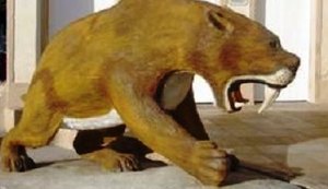 Fósseis pré-históricos achados em Maravilha têm mais de 10 mil anos