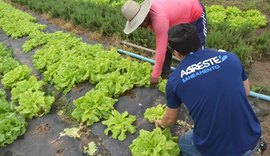 Agricultores de Arapiraca recebem mantas do projeto Agreste Rural