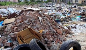 Alagoas registra 133 casos de dengue em janeiro
