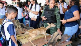 Expo Ambiental: 1ª Feira de Boas Práticas Ambientais leva ações ao Centro de Coruripe