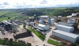 Sorgo impulsiona produção de etanol na Usina Pindorama