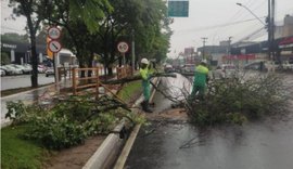 Prefeitura de Maceió realiza ações contra transtornos causados pelas fortes chuvas