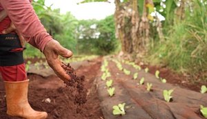 Mantas doadas pela Agreste Saneamento para agricultores de Arapiraca são destaque em uma das principais revistas científicas do mundo