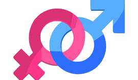 STF suspende julgamento sobre registro civil de transexual