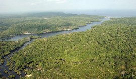 AGU cobra mais de R$ 2.6 bilhões de desmatadores da Amazônia