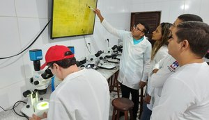 Estudo pioneiro em Alagoas busca controle biológico do ácaro vermelho das palmeiras
