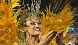 Ellen Roche promete leiloar fantasia e doar dinheiro