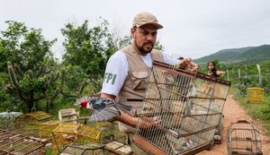 FPI do São Francisco devolve 114 animais silvestres à natureza
