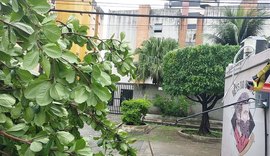 Rede elétrica e food truck são atingidos por queda de uma árvore na Ponta Verde