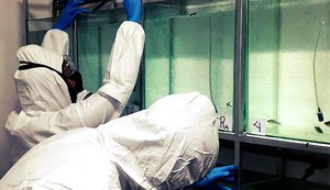 Pesquisadores analisam peixes contaminados e o efeito na saúde mental