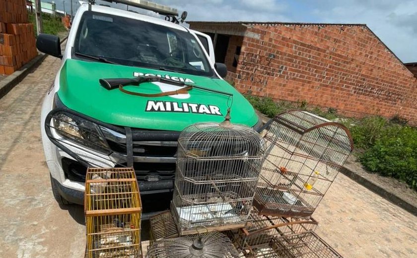 Batalhão de Polícia Ambiental apreende aves silvestres e armas de caça