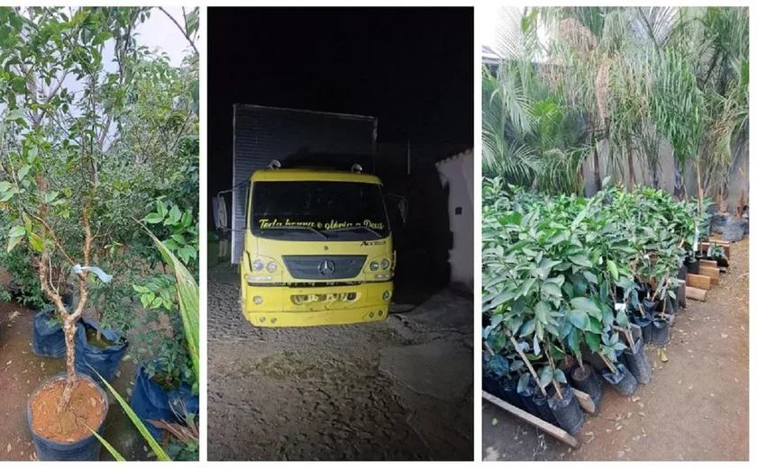 Dono de floricultura é preso suspeito de furtar R$ 300 mil em plantas de concorrente em Divinópolis