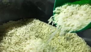 Governo autoriza compra de 1 milhão de toneladas de arroz