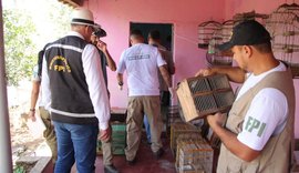 FPI resgata mais de mil animais silvestres em uma semana no Sertão