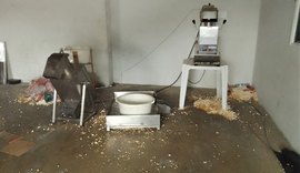Vigilância Sanitária interdita uma fábrica de pipocas no Poço