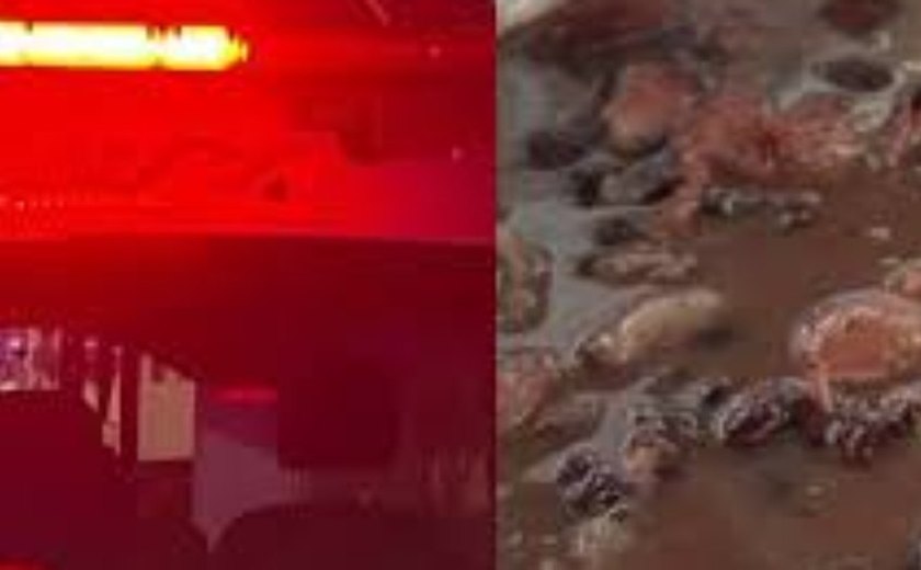 Mulher mata marido e cozinha órgão genital com feijão no Acre