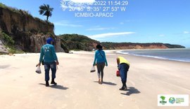 Novos fragmentos de óleo aparecem no Litoral Norte de Alagoas entre terça-feira (30) e quarta (31)