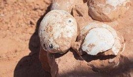 Paleontólogos anunciam descoberta de ovos de dinossauro em São Paulo
