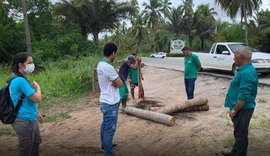 Japaratinga cumpre determinação do ICMBio e fecha acesso de veículos às praias