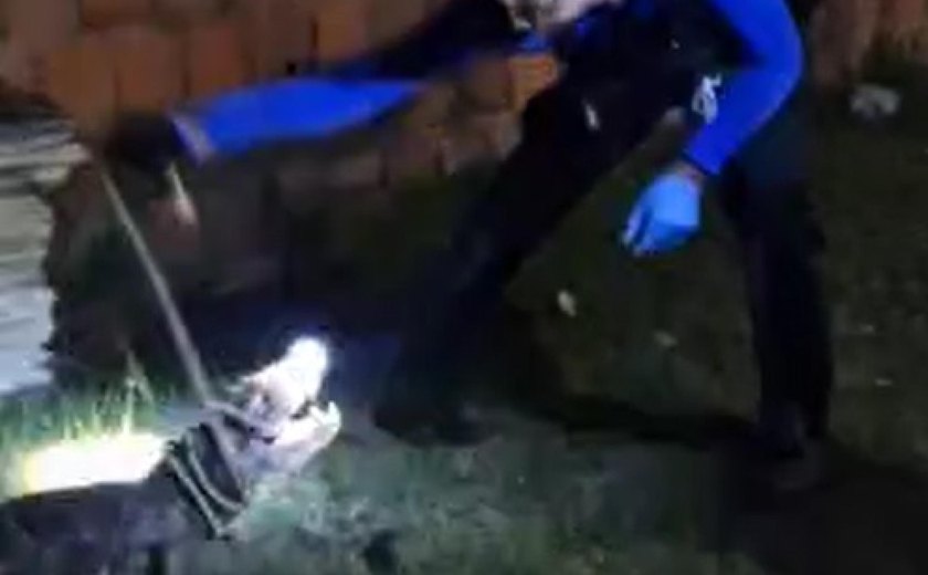 Policial Científico resgata jacaré que invadiu residência em Marechal Deodoro