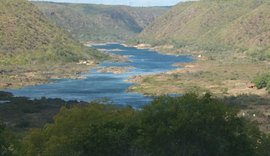 Codevasf e prefeituras de Alagoas, BA, GO, MG e SE se unem para recuperação de nascentes