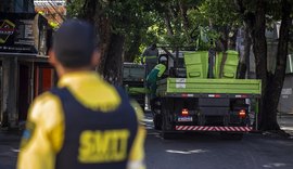Arborização iniciada domingo (21) será concluída na próxima semana no Centro de Maceió