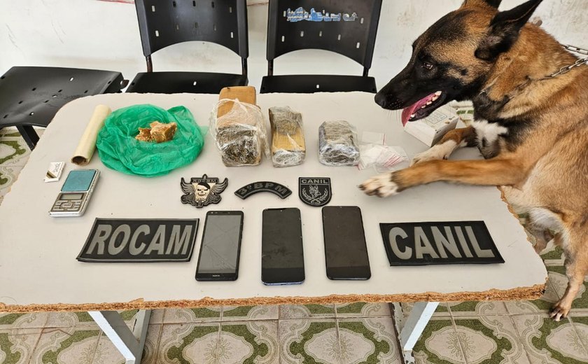 Polícia flagra tráfico de drogas durante ações em Maragogi e Arapiraca