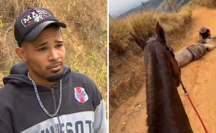 'Cortei por cortar': homem que cortou patas de cavalo disse que estava alcoolizado e se diz arrependido