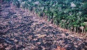 Barragens transformam Amazônia em zona de sacrifício