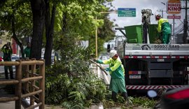 Prefeitura de Maceió intensifica poda de árvores em avenidas da capital