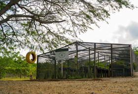 Unesco reconhece MVV por trabalho de preservação da Caatinga