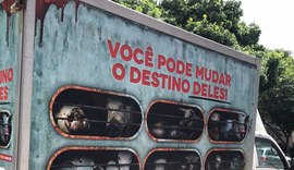Caminhão com imagens de animais destinados ao abate volta às ruas de São Paulo em ação da SVB